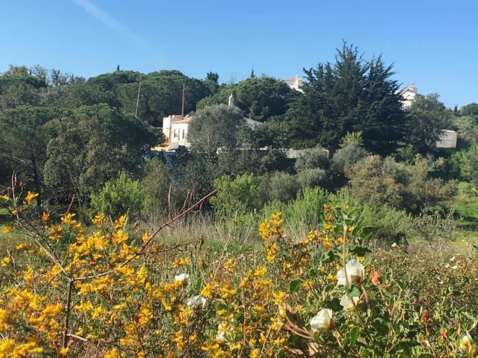 Casa Da Ti Carolina Villa Carvoeiro  Esterno foto
